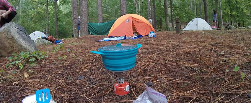 Tents and supplies in the forest